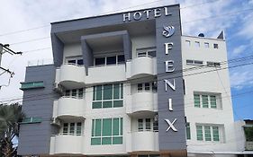 Hotel Fenix